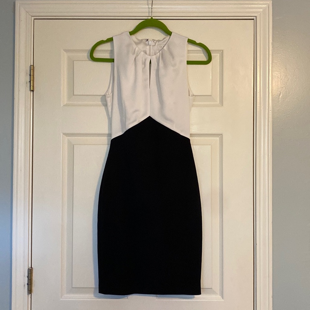 Ted Baker Dress